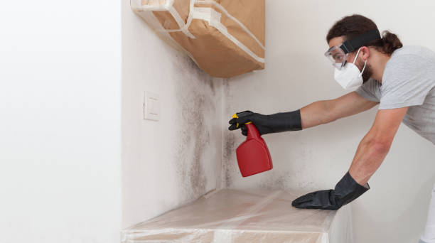 Professional Mold Removal technician working in Woodsboro, TX